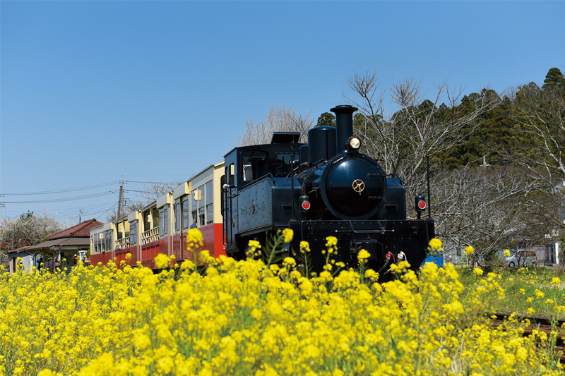 小湊鐵道株式会社 オリジナルグッズ制作